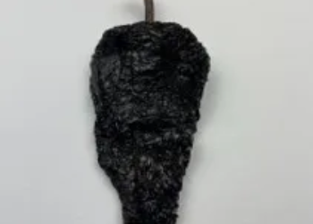 Chile Mulato Mexico 25 Lb Case