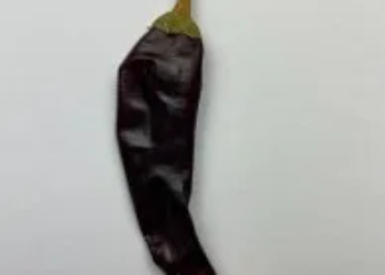 Chile Puya Mexico 25 Lb Case