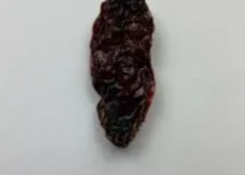 Chile Morita Mexico 25 Lb Case