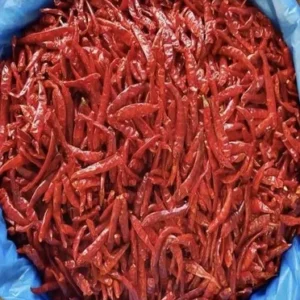 Chile Arbol Case Box