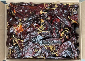 Chile Guajillo Mexico 25 Lb Case