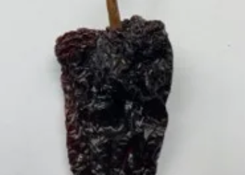 Chile Ancho Mexico 25 Lb Case