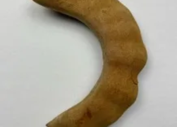 Tamarindo Mexico 25 Lb Case