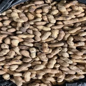 Cacahuate Toasted 40 Lb Sack