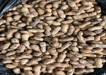 Cacahuate Toasted 40 Lb Sack