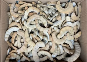 Tamarindo Mexico 25 Lb Case