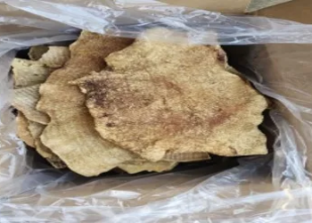 Rendered Pork Skin 20 Lb Box