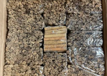 Cinnamon Stick 55 Lb Box